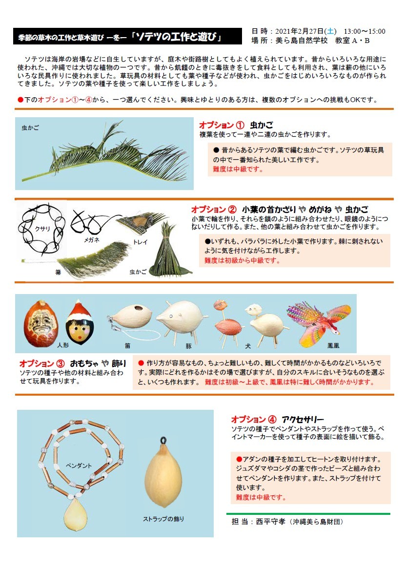 ソテツの工作と遊び 沖縄イベント情報 ぴらつかこよみ