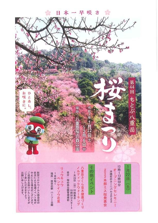 The 44th Motobu Yaedake Cherry Blossom Festival Okinawa Event Information Piratsuka Koyomi