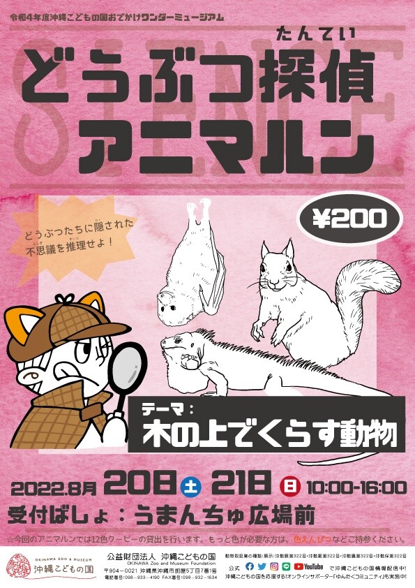 動物穿越偵探動物跑 讓我們製作動物百科全書吧 沖繩活動資訊沖繩風物曆piratsuka 篦柄曆