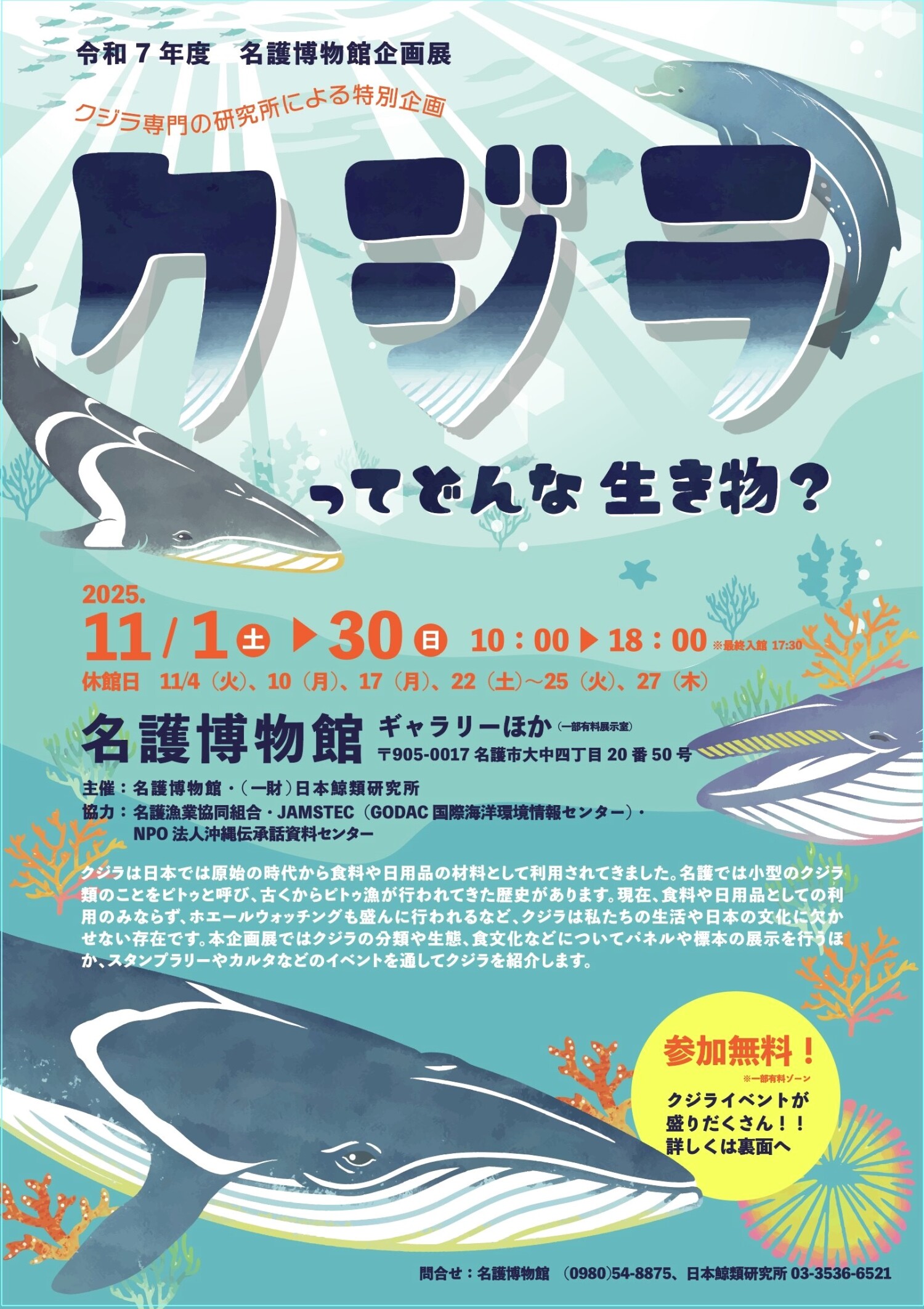 クジラ専門の研究所による特別企画「クジラってどんな生き物