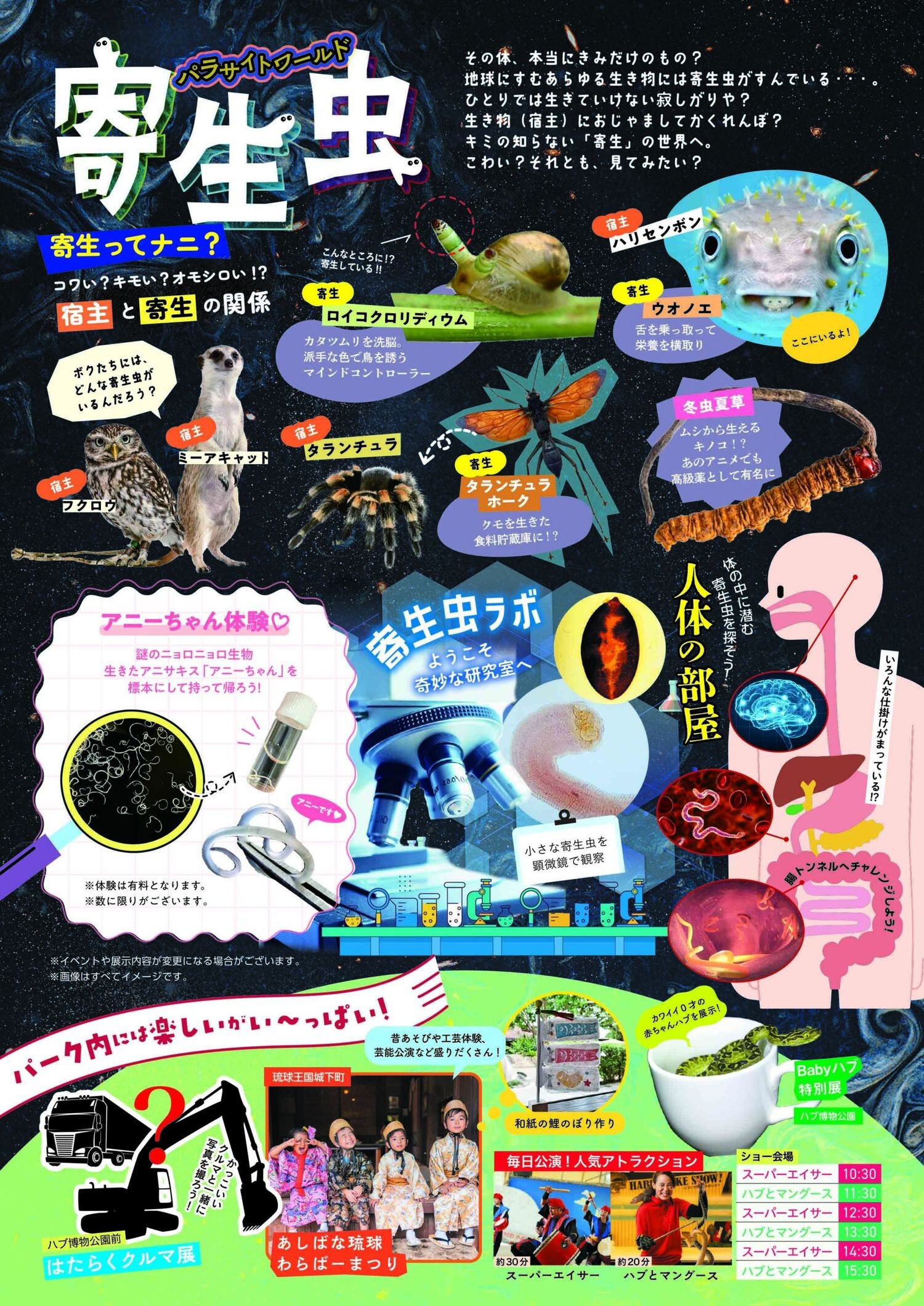 パラサイトワールド 寄生虫 | 沖縄イベント情報 ぴらつかこよみ