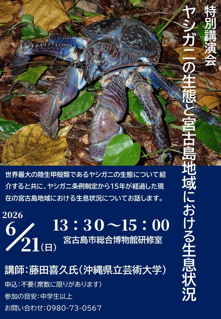 講演会「ヤシガニの生態と宮古島地域における生息状況」 | 沖縄