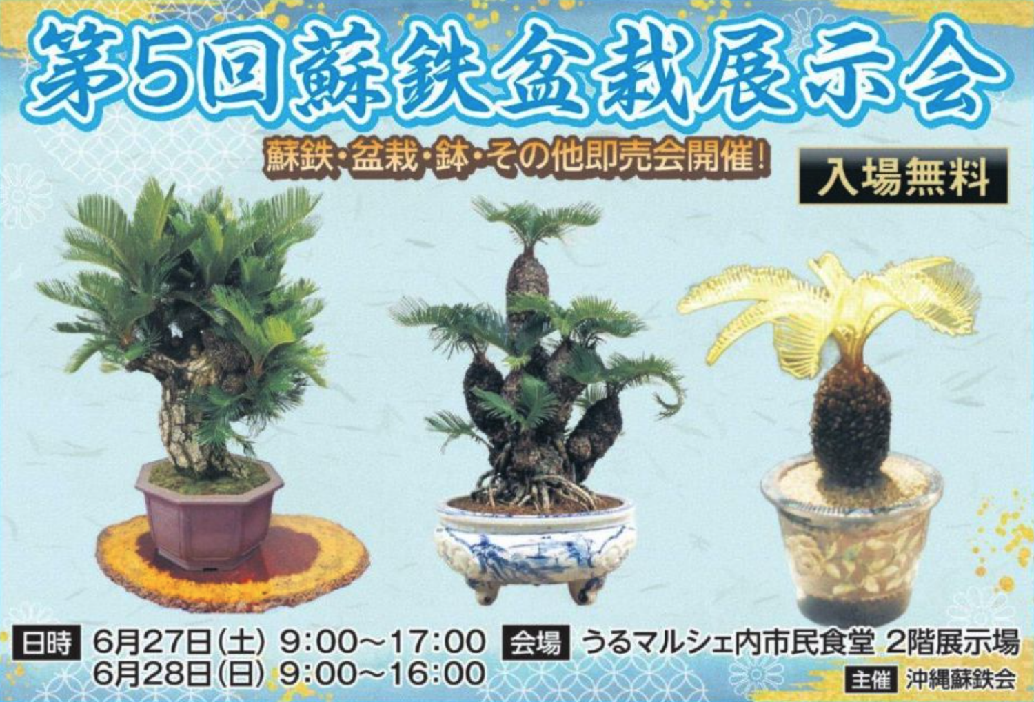 第5回 蘇鉄盆栽展示会 | 沖縄イベント情報 ぴらつかこよみ