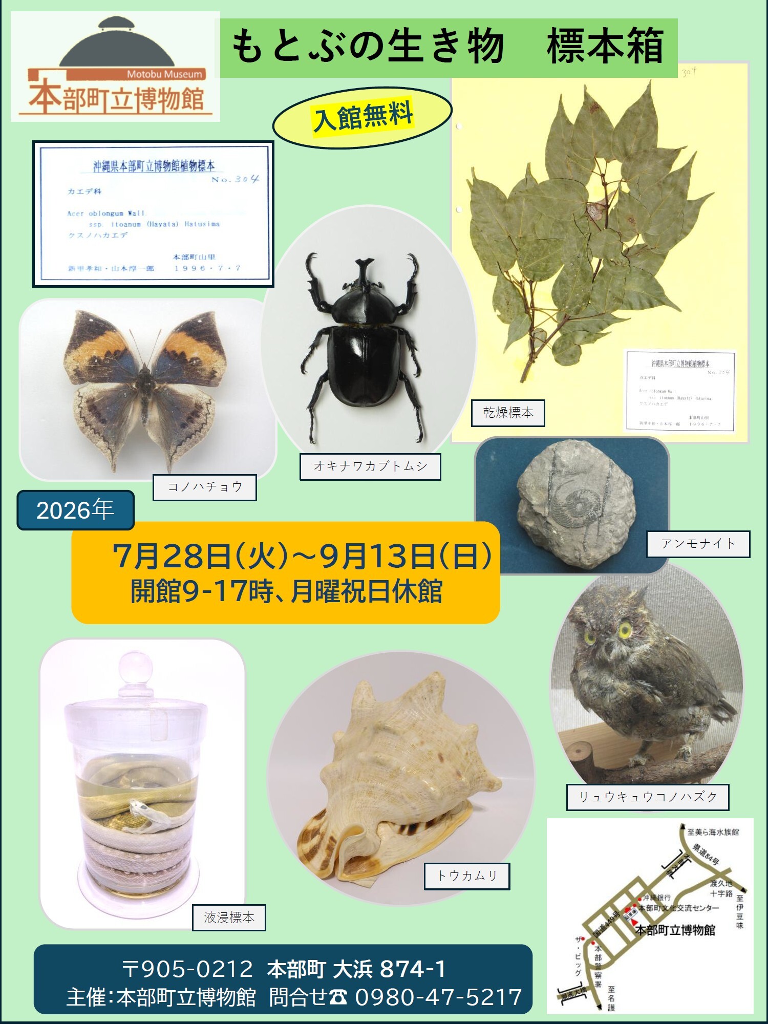 もとぶの生き物 標本箱 | 沖縄イベント情報 ぴらつかこよみ